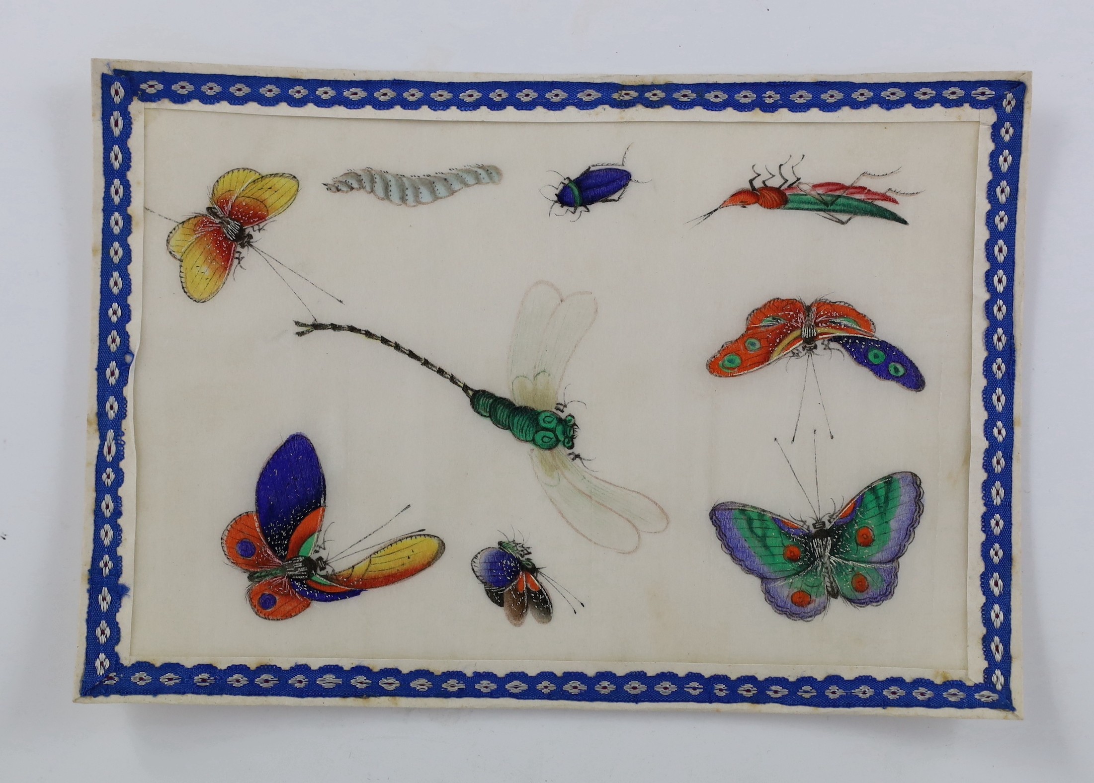 A set of twelve Chinese pith paintings of butterflies and insects, mid 19th century, total size 18cm x 12.2cm, small holes to paper